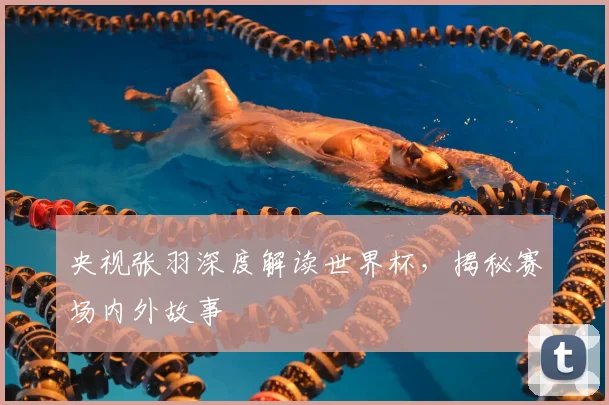 央视张羽深度解读世界杯,揭秘赛场内外故事