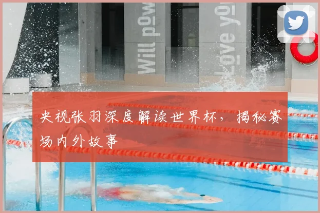 央视张羽深度解读世界杯,揭秘赛场内外故事