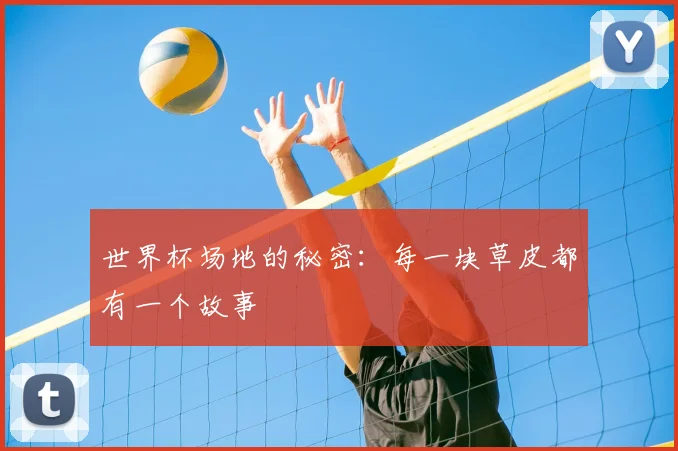 世界杯场地的秘密:每一块草皮都有一个故事