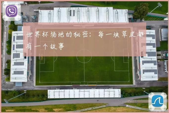 世界杯场地的秘密:每一块草皮都有一个故事